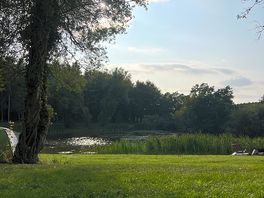 Lake view