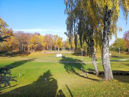 Sunny and shaded pitches