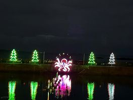 The lights