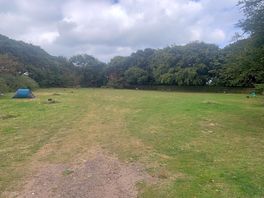 Empty large field
