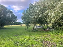 The site