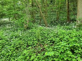 Circular walk from camp