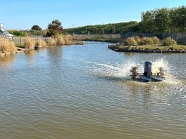 Fishing pond