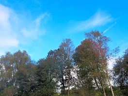 Beautiful green site