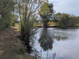 Lakes