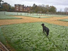 Frosty morning at springbok with arlo.