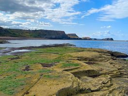 Whitby