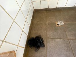 Flithy shower - this was the only one that worked
