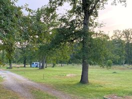 Site grounds