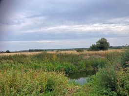 Riverbank walk