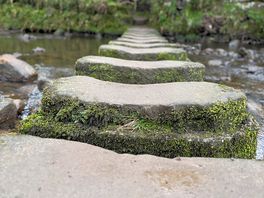 The famous stepping stones in egton bridge.
