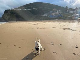 Tresaith beach