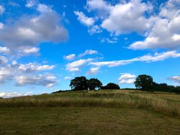 View from local walk