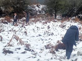 Bit of a play in the forest befor the weather got worse.