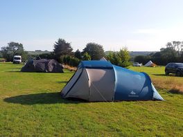 Large pitch for up to 3 tents