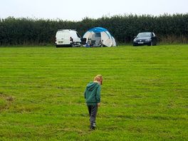 Exploring the field.