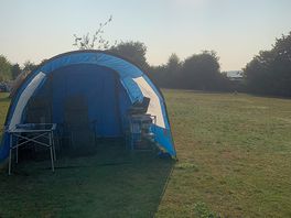 Morning sunshine on site