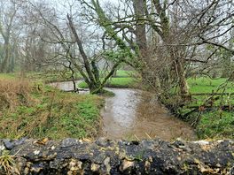 Stream