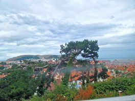 The view from the site