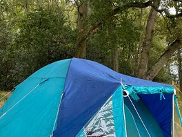 Tent in the trees!