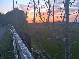 The walks are amazeballz, worth every step =0)