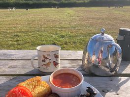 Fantastic breakfast with a view!