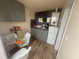 Small electrical cooking appliance in one of the cupboards too. iron, small ironing board
