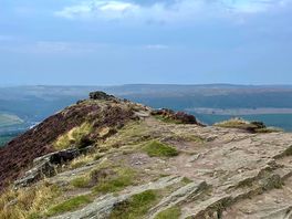 Winview hill