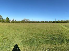 A whole field to ourselves.