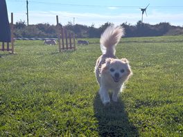 Max loving park.