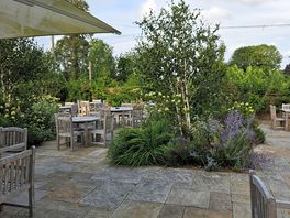 Gorgeous beer garden