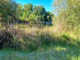 River walk by campsite