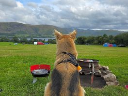 Luna admiring the view