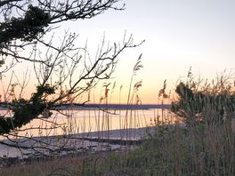 View over the estuary