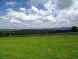 View from the pitches