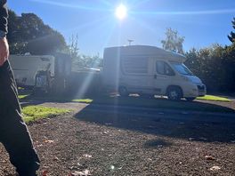 Sunny morning