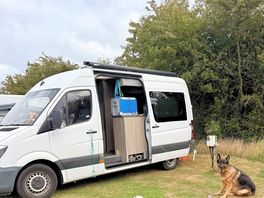 Tethered to the van, enjoying the calm