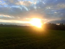 Sunset across the farm.