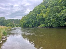 The river next to the site, and the view from our pitch