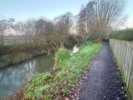 Lake right opp the plot