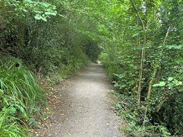 Riverside walk to lyme