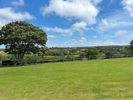 View from my pitch