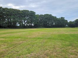 Field