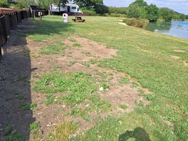Worn out grass & the grounds were unkept.