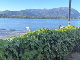 View from our pitch