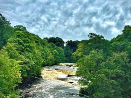 The falls