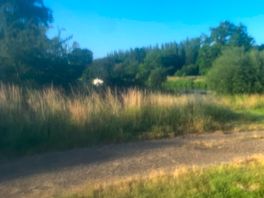 Walking routes to the village too
