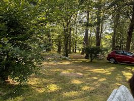 Great woodland location