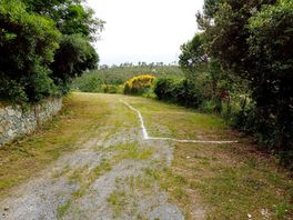 Grass pitches