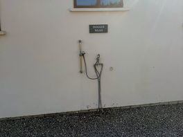 Doggie shower